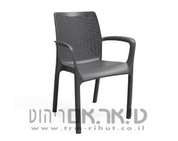 כסא פלסטיק דמוי ראטן