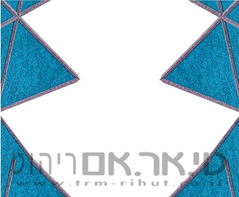 לוחות אקוסטיים V